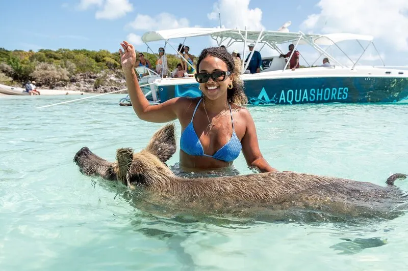 Pig Beach, stop in Exuma — photo 7