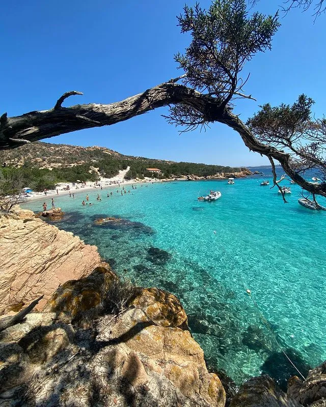 Spiaggia dell' alberello, anchorage in La Maddalena, Italy — photo 2