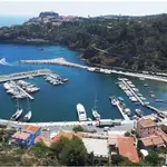 Porto di Capraia Isola