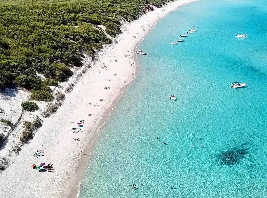 Plage de Saleccia, stop — photo 4