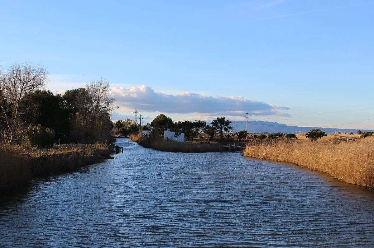 La Platjola, stop — photo 7
