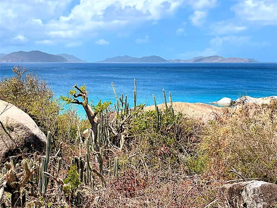 White Bay, anchorage in Road Town, British Virgin Islands — photo 3