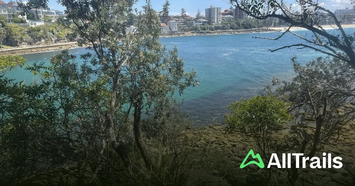 Spring Cove, anchorage in Sydney, Australia — photo 3