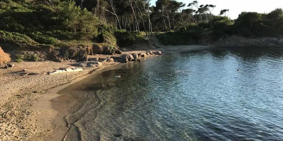 Plage du Four à Chaux, stop in Lézardrieux, France — photo 3