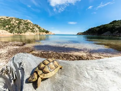 Cala Brigantina, anchorage in Italy — photo 4