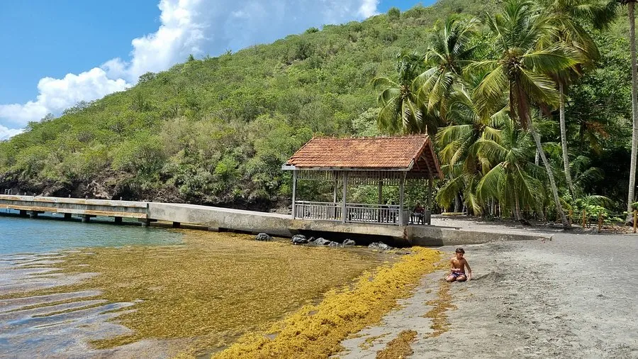 Anse Noire, anchorage in Les Trois-Îlets, France — photo 7
