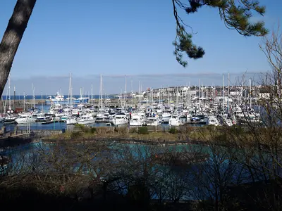 Bangor Marina