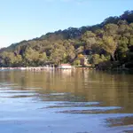 Morning Bay