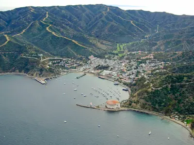 Avalon Bay, stop — photo 4