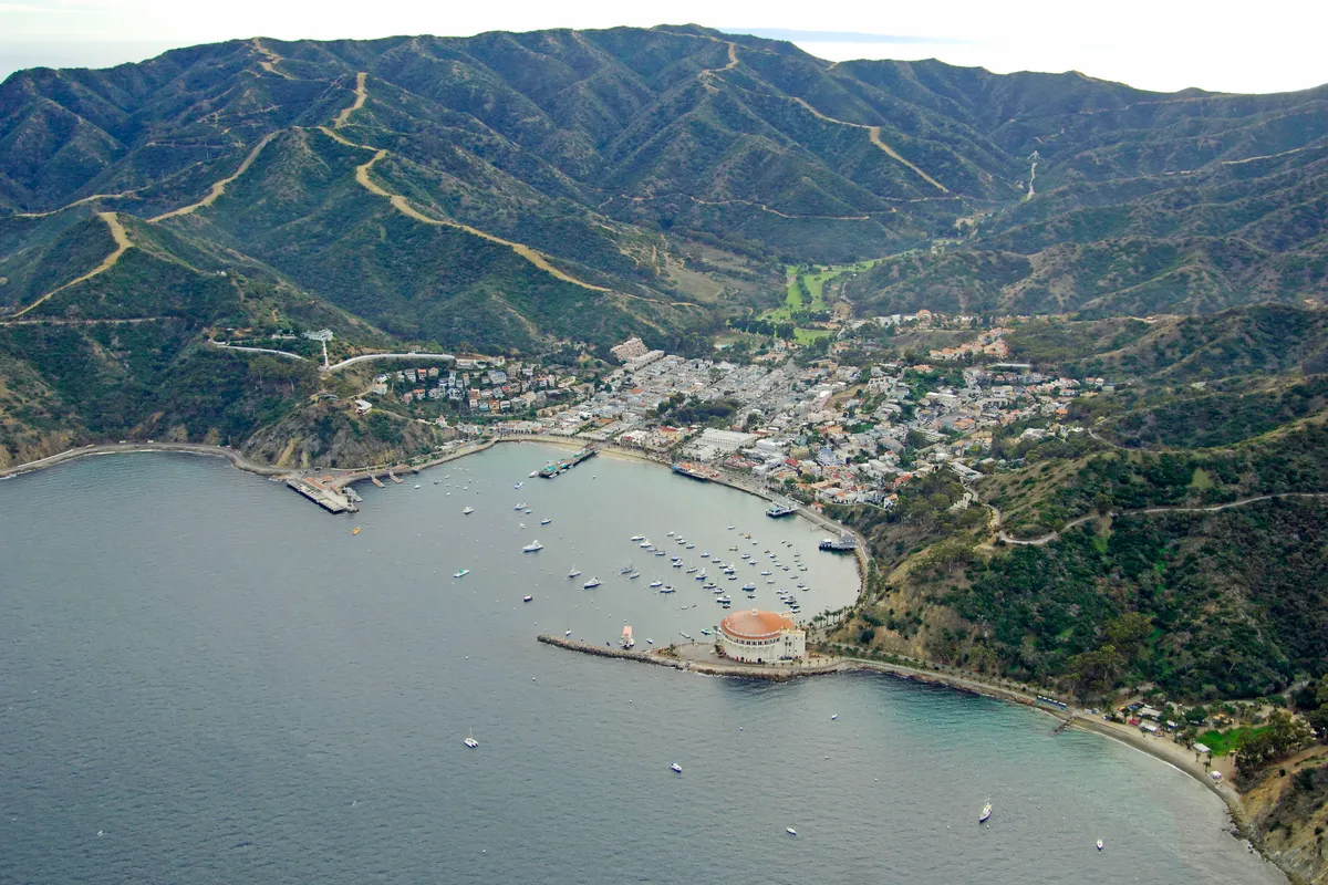 Avalon Bay, stop — photo 4