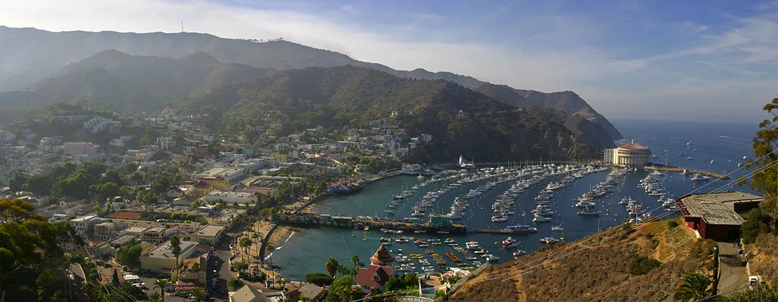 Avalon Bay, stop — photo 7