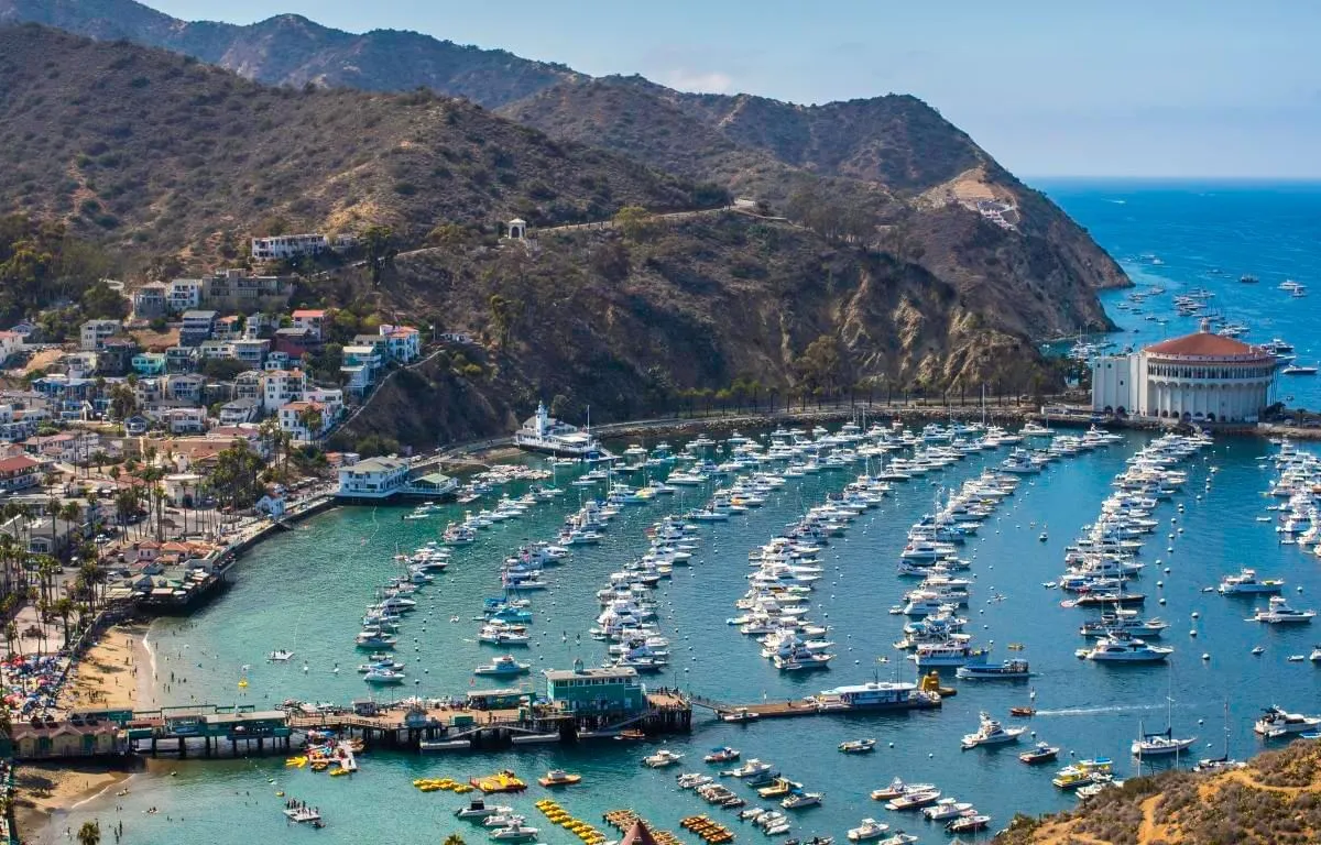Avalon Bay, stop