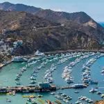 Avalon Bay