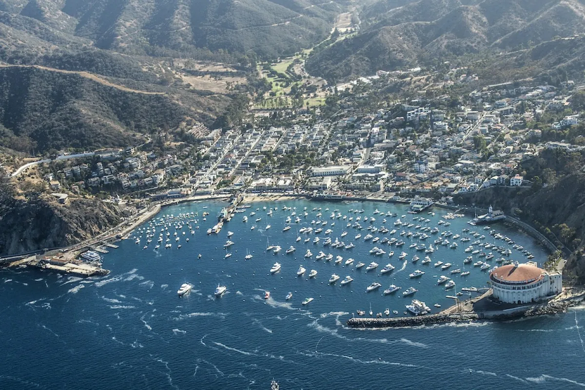 Avalon Bay, stop — photo 8