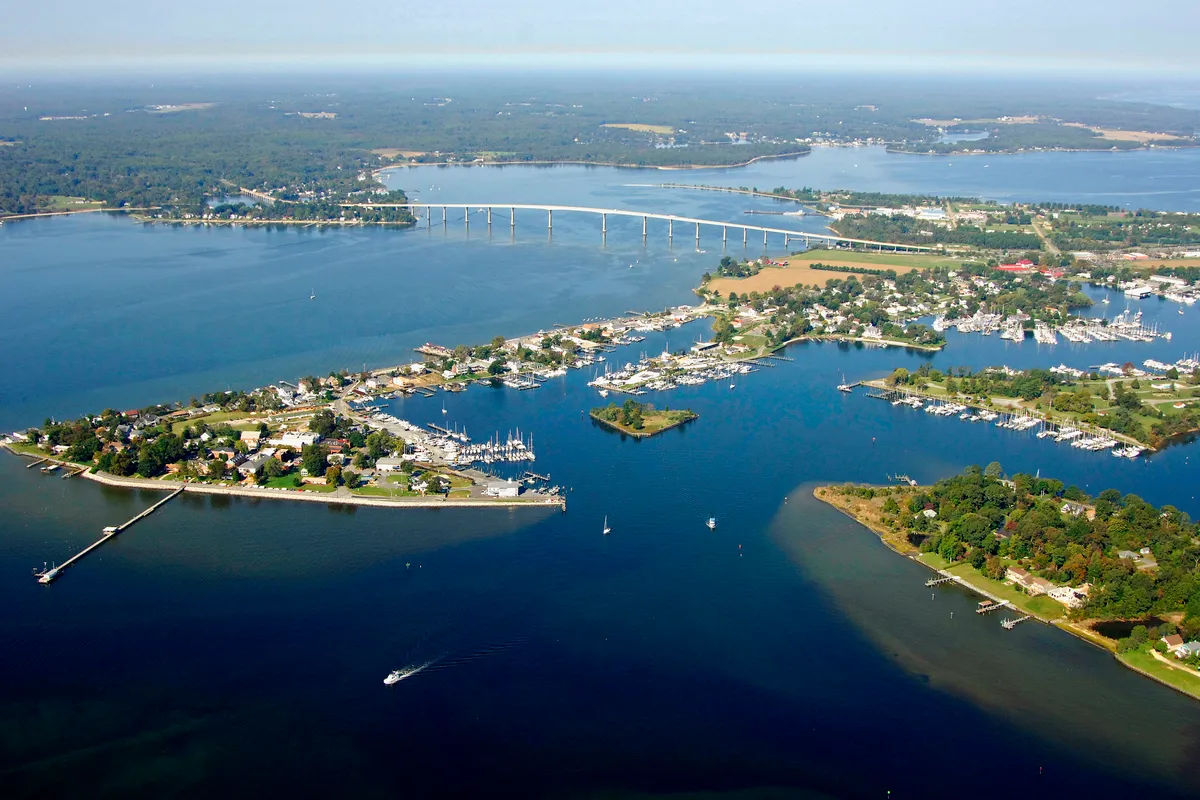 Solomons Island Anchorage in Solomons — photo 5