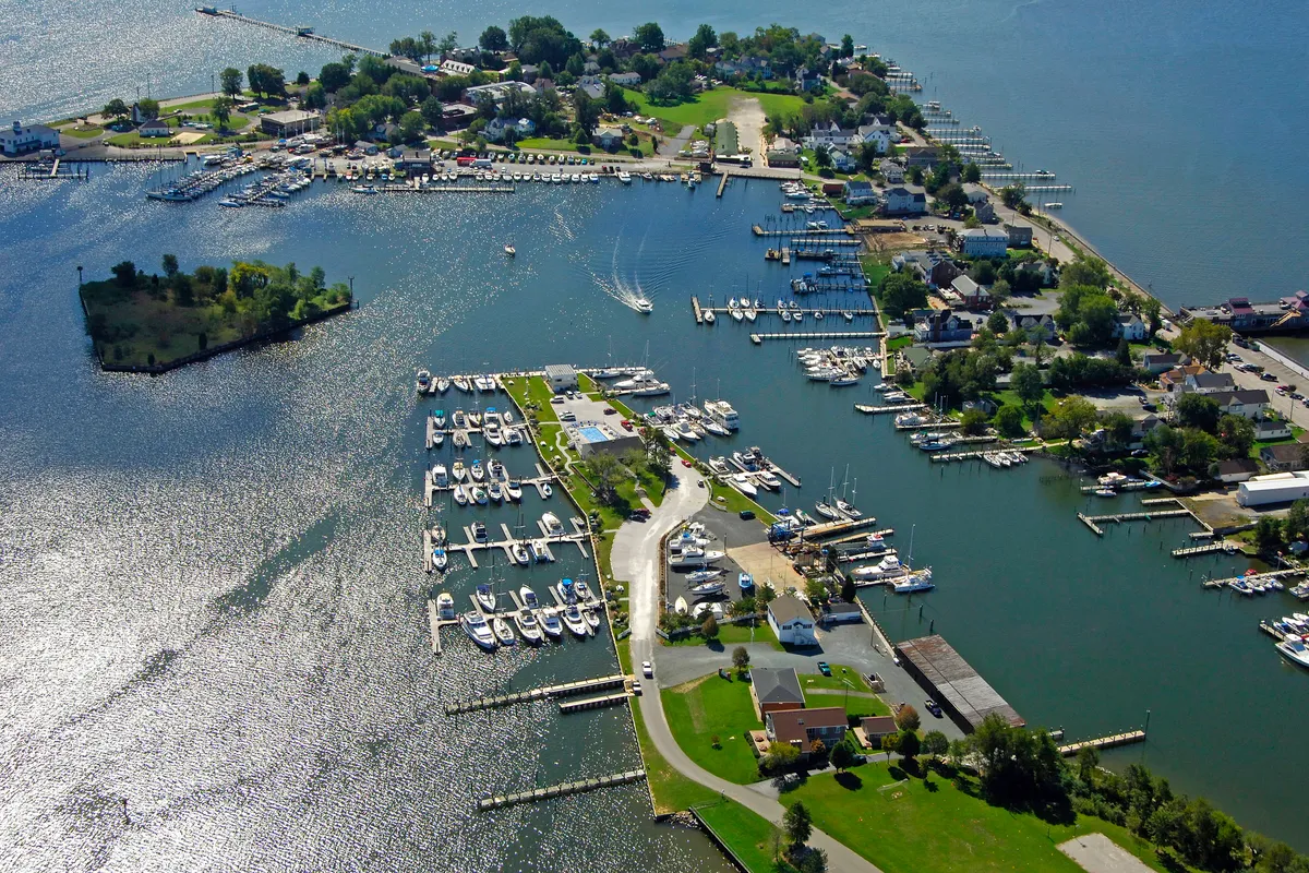 Solomons Island Anchorage in Solomons — photo 3