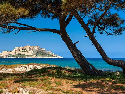 La Pinède, stop in Calvi — photo 4
