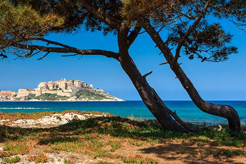 La Pinède, stop in Calvi — photo 4
