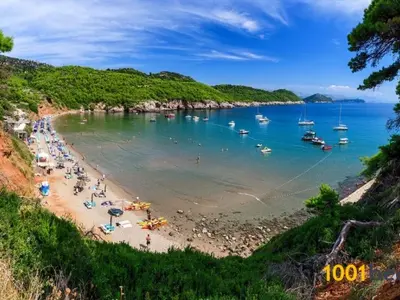 Uvala Šunj