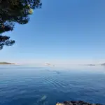 Uvala Žal