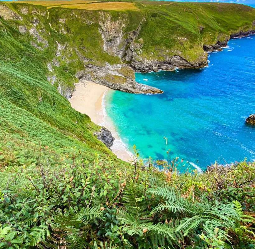 Fisherman's Cove, stop in South Hams — photo 8