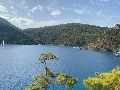 Büyükağa Koyu, anchorage in Dalaman, Turkey — photo 5