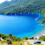 Büyükağa Koyu