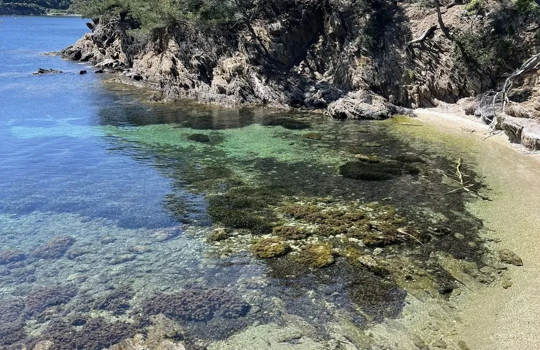 Calanque du Palangrier, anchorage in France