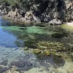 Calanque du Palangrier