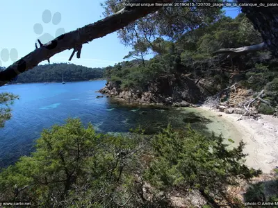 Calanque du Palangrier, anchorage in France — photo 3