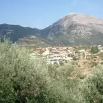 Skala