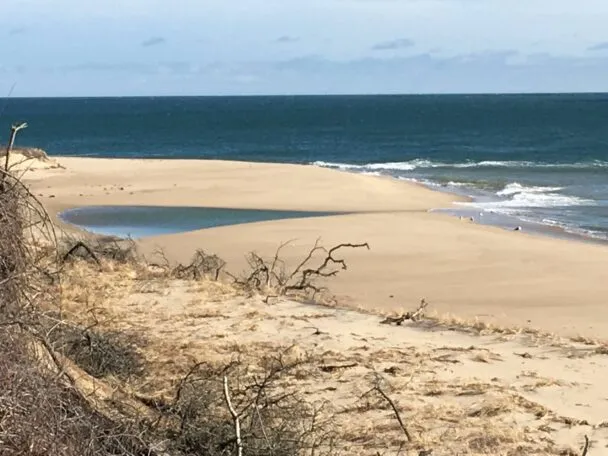 Chappaquiddick Beach, stop in United States — photo 6