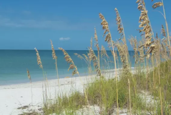 Fort Myers Beach, stop in United States — photo 7