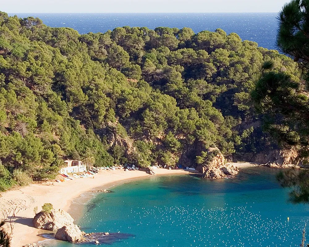 Cala des Malgrat, anchorage in Spain — photo 9