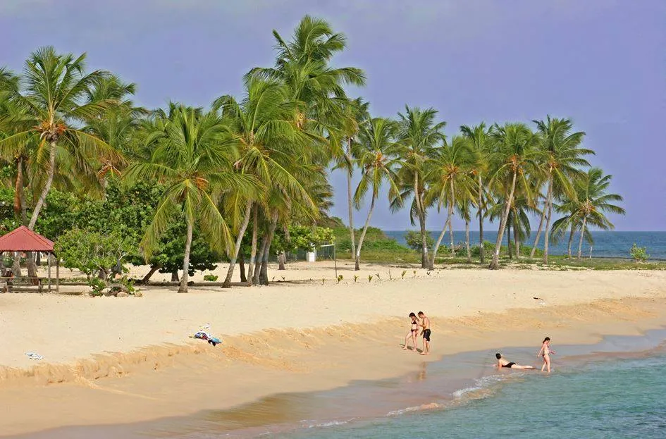 Plage de la Chapelle, stop in France — photo 6
