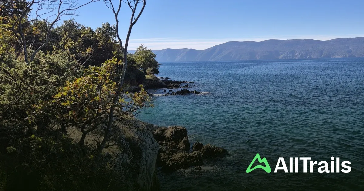 Uvala Brnac veli, anchorage in Croatia — photo 3