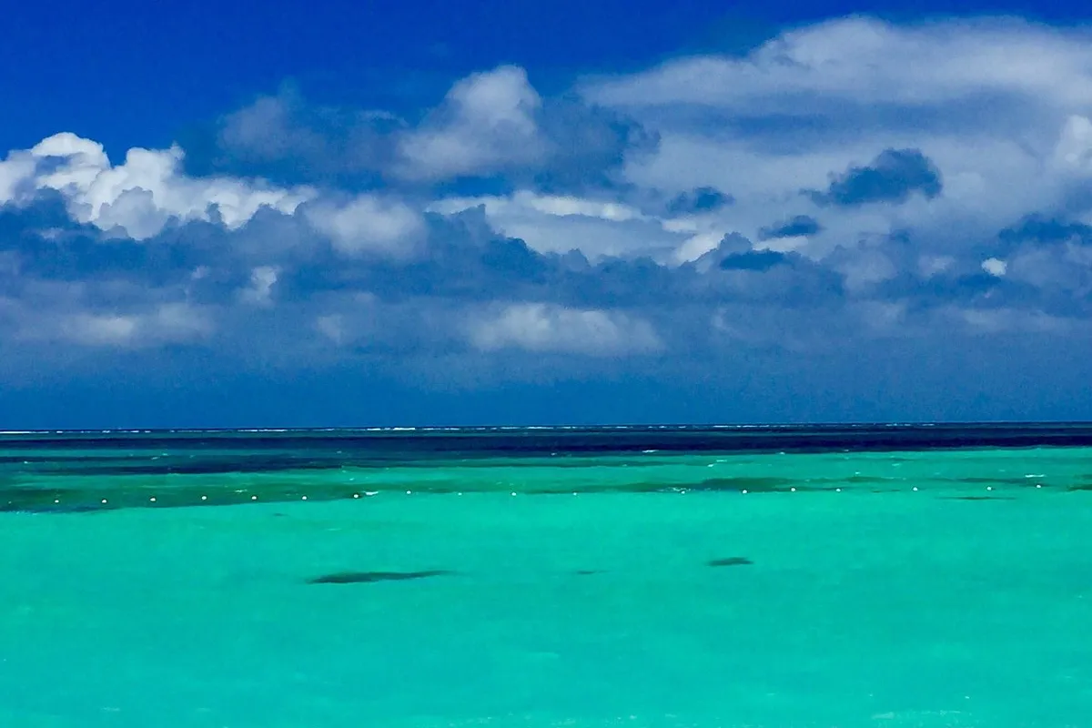 Johnston Beach, stop in New Providence, Bahamas — photo 7