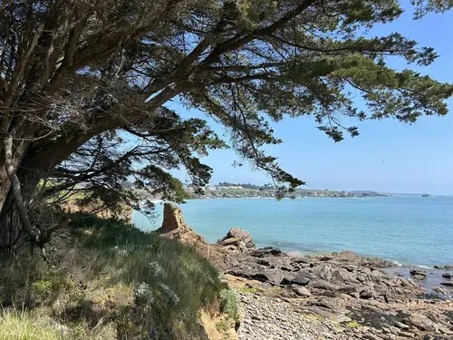 Anse des Vieilles, anchorage in L'Île-d'Yeu, France — photo 10