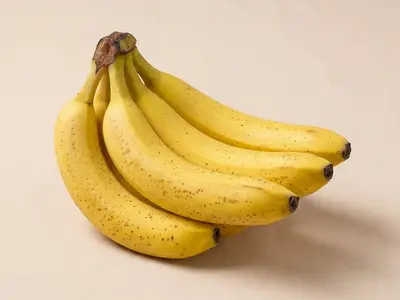 De Banaan, stop in Netherlands — photo 4