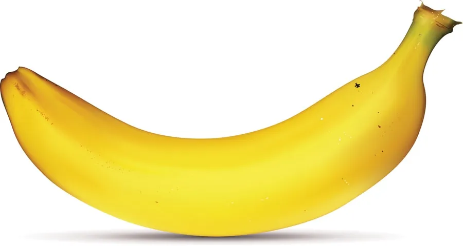 De Banaan, stop in Netherlands