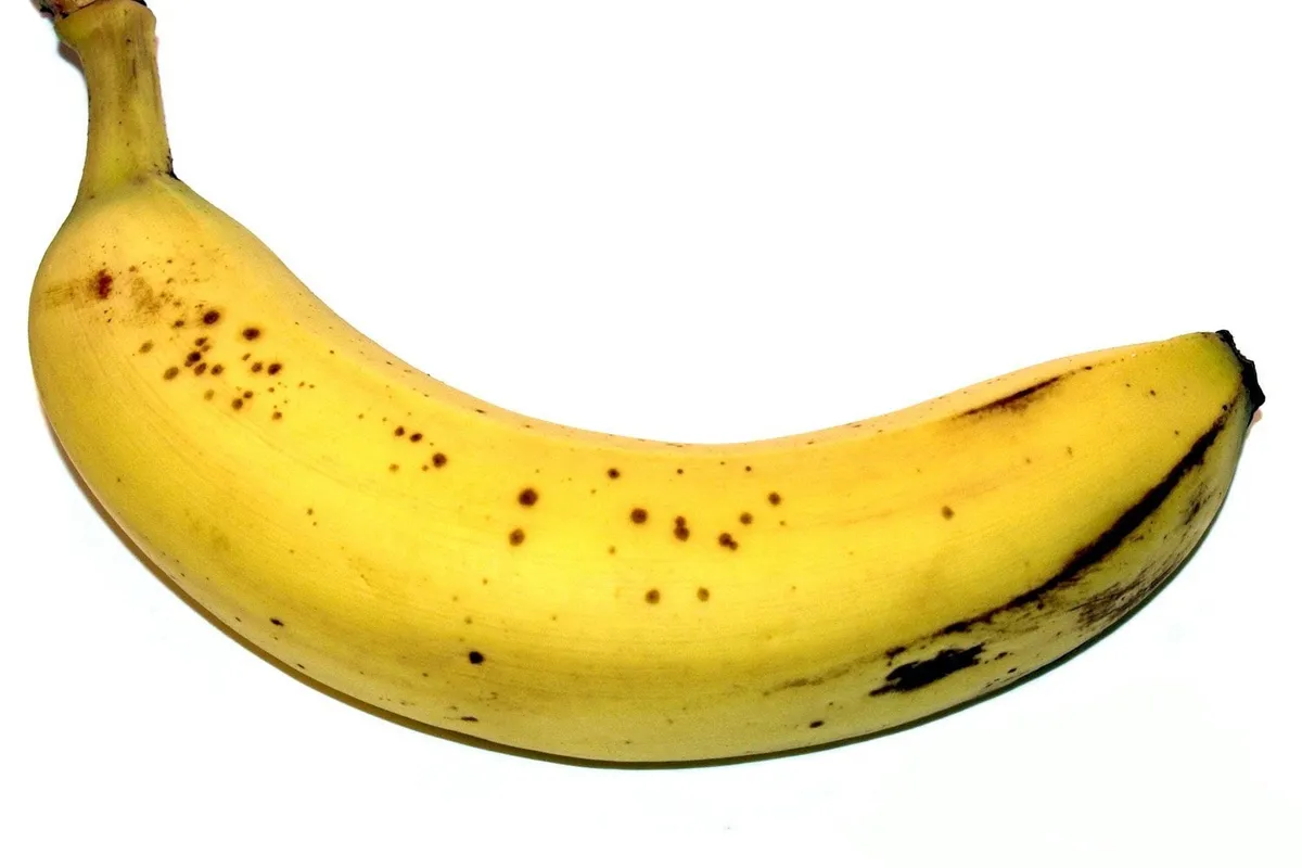 De Banaan, stop in Netherlands — photo 3
