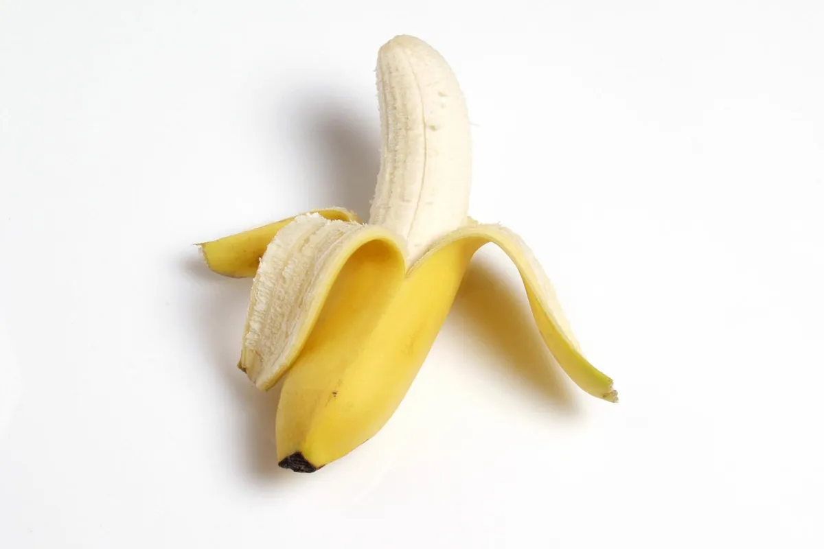 De Banaan, stop in Netherlands — photo 5