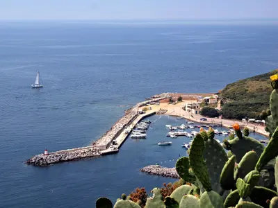 Port de Cargèse, marina in France — photo 5