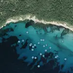 Cala Niu Llorc