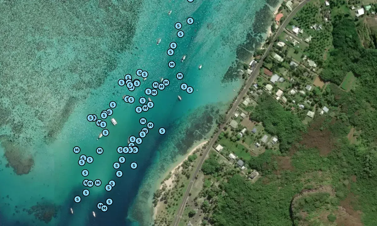 Baie de Paopao, anchorage in Moorea-Maiao — photo 2