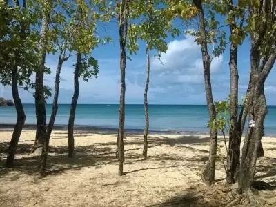 Grande Anse des Salines