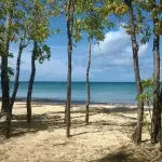 Grande Anse des Salines
