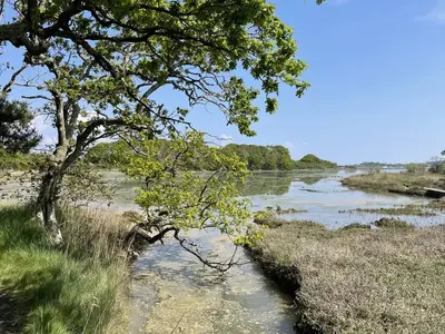 Hamstead Spit, stop in United Kingdom — photo 4