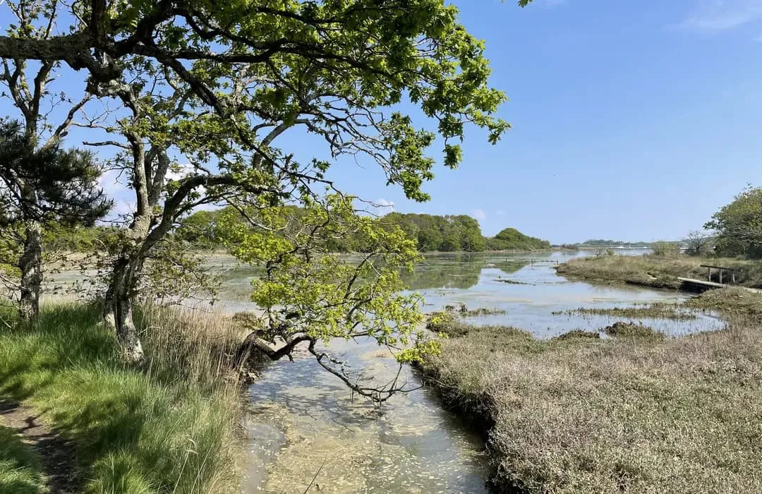 Hamstead Spit, stop in United Kingdom — photo 4