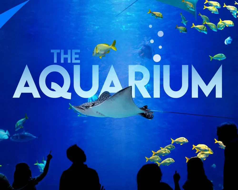 The Aquarium, stop in Bahamas — photo 2
